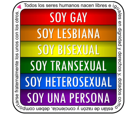 soy gay